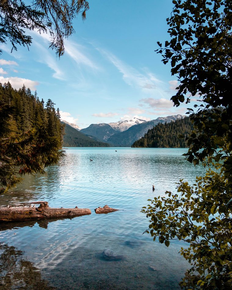 Whistler — Kadenwood