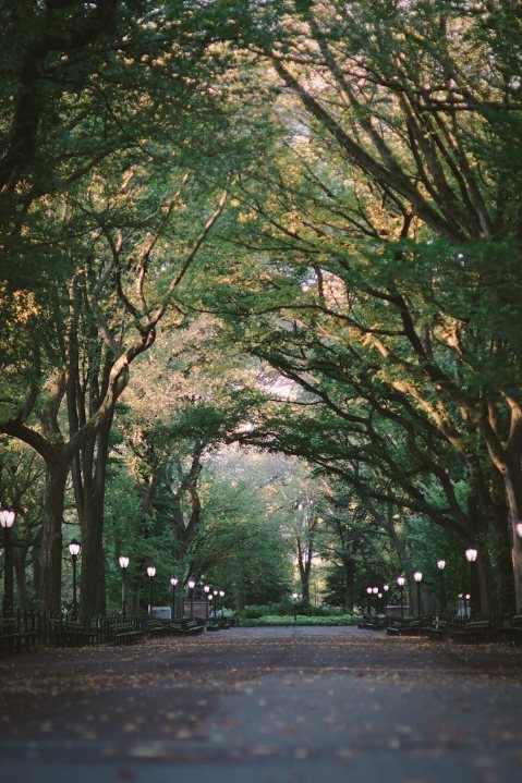Manhattan — Central Park West