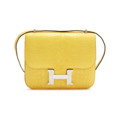 Hermès Mini Constance 18 Mimosa Mississippienisis, alligator mat, palladié