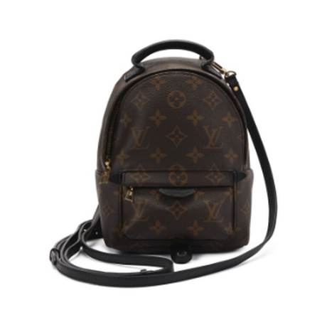 Louis Vuitton Mini Palm Springs Sac à dos, toile Ebene Monogram enduite, doré