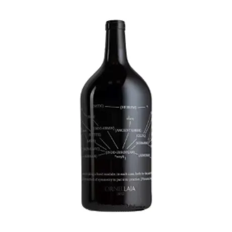 Bolgheri Ornellaia Vendemmia d'Artista la Proporzione Joseph Kosuth 2020
