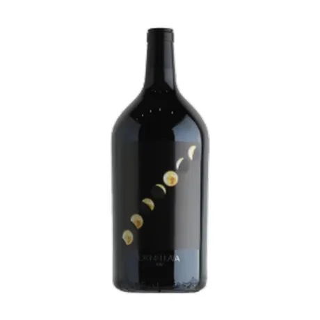 Bolgheri Ornellaia Vendemmia d'Artista Solare Tomás Saraceno 2017