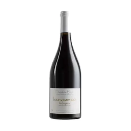 Bourgogne le Chapitre Domaine Jean-Yves Bizot 2009