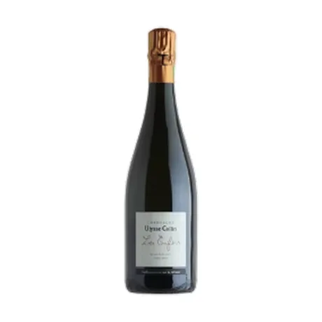 Champagne 60 mois 2014