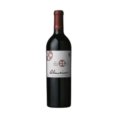 Vallée du Maipo Almaviva 2019