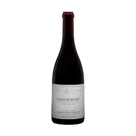 Vosne-Romanée Aux Malconsorts 1er Cru Domaine Sylvain Cathiard 2021